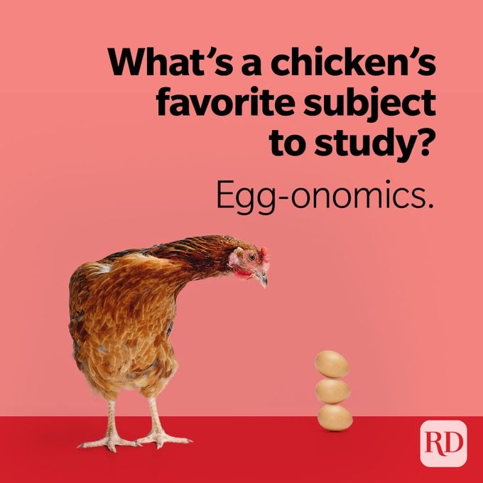 What's a chicken's favorite subject to study? Egg-onomics.
