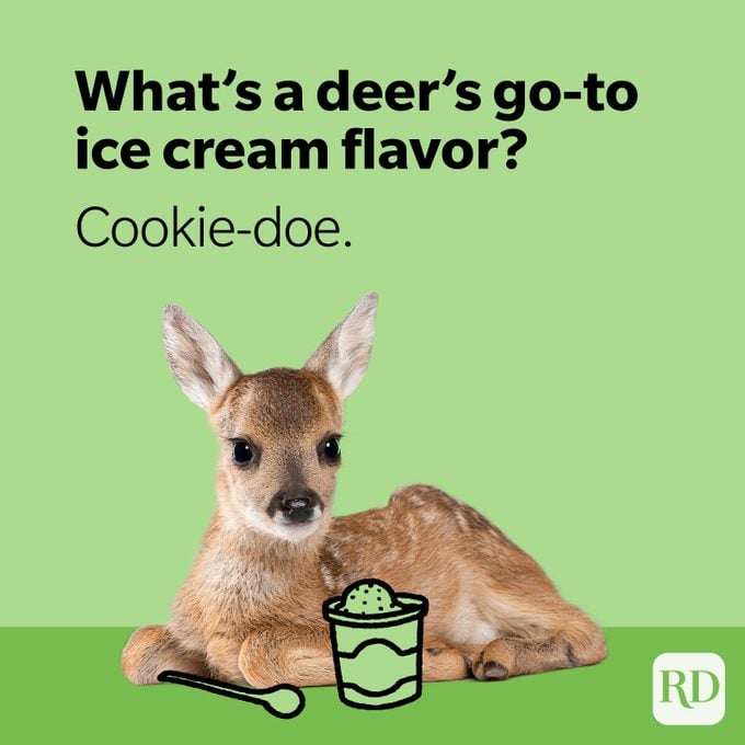 Deer eating ice cream
