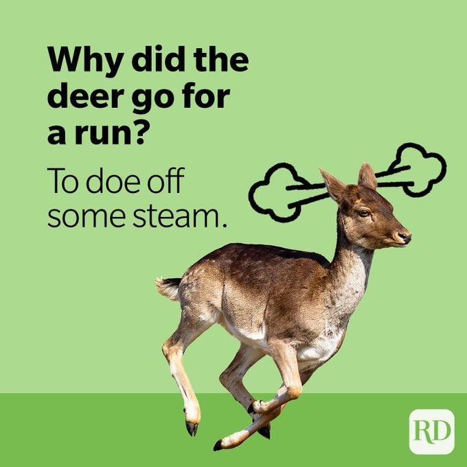Doe running with steam blowing from ears