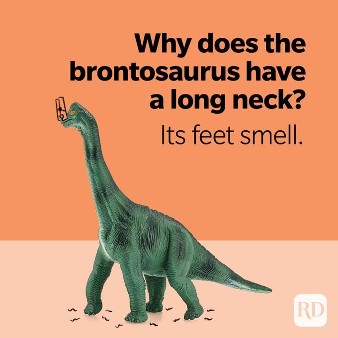 Dinosaur Jokes Brontosaurus Long Neck Feet Smell