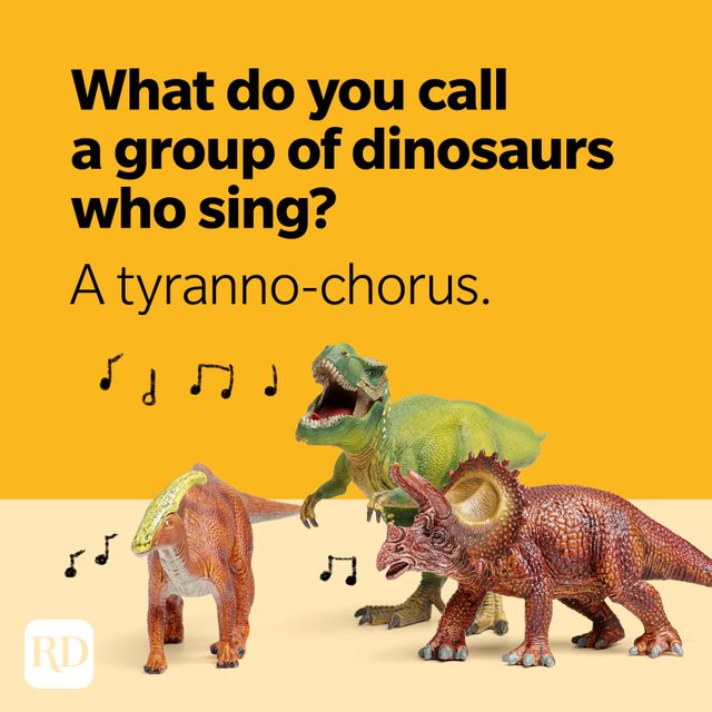 Dinosaur Jokes Tyranno Chorus
