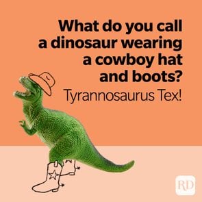 Dinosaur Jokes Tyrannosaurus Tex