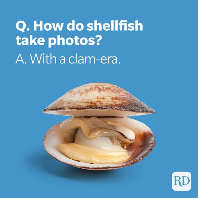 Clam with clam-era pun