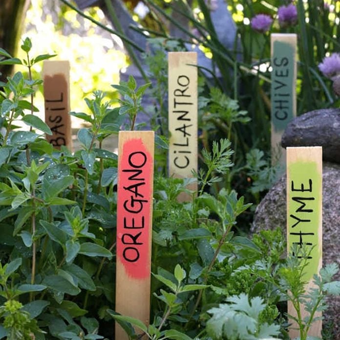 Garden markers for Dad