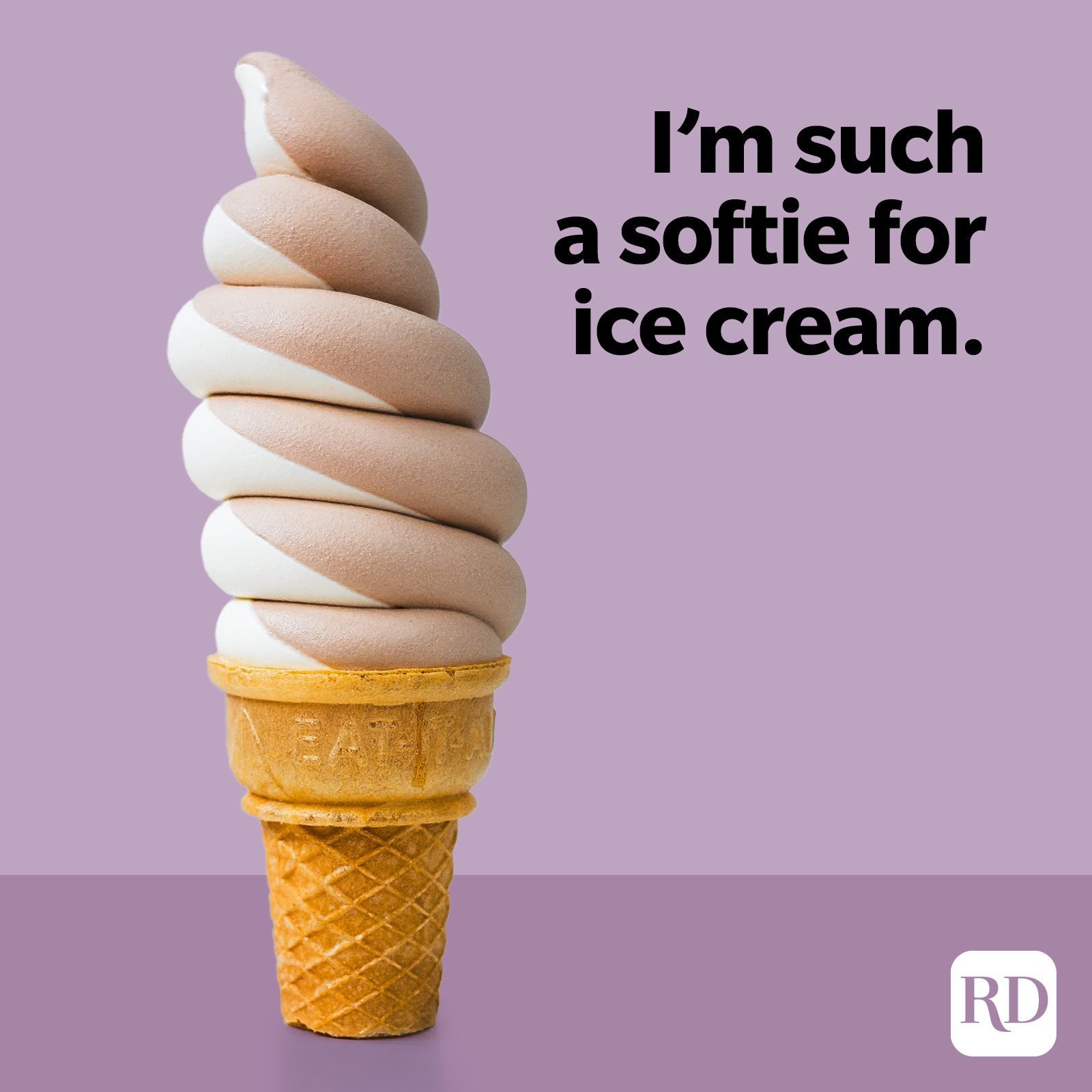 Ice Cream Puns Softie For Ice Cream