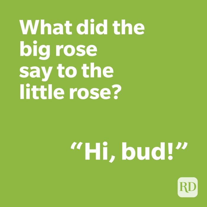 Rose joke on green