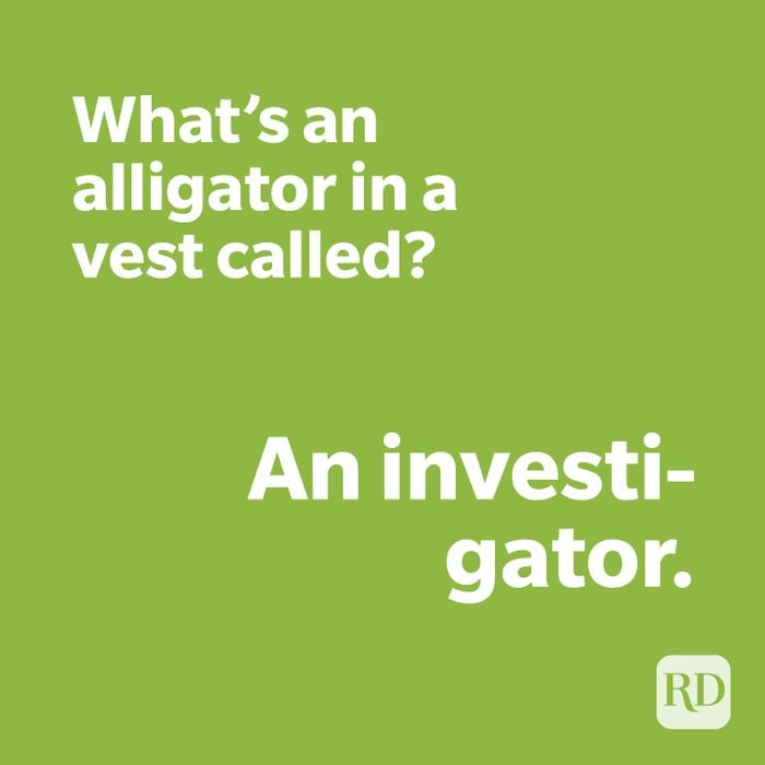Alligator joke on green