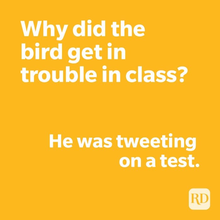 Bird joke