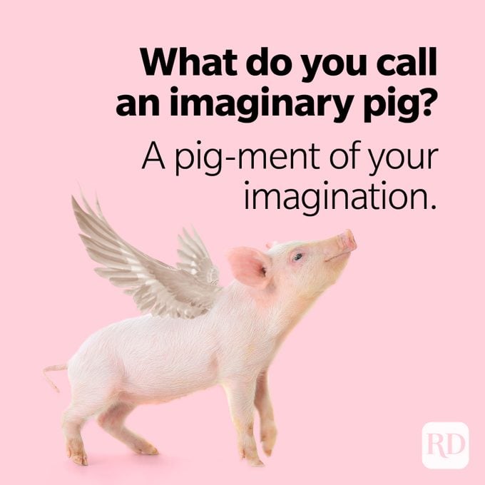 Pig Puns A Pig Ment Of Your Imagination