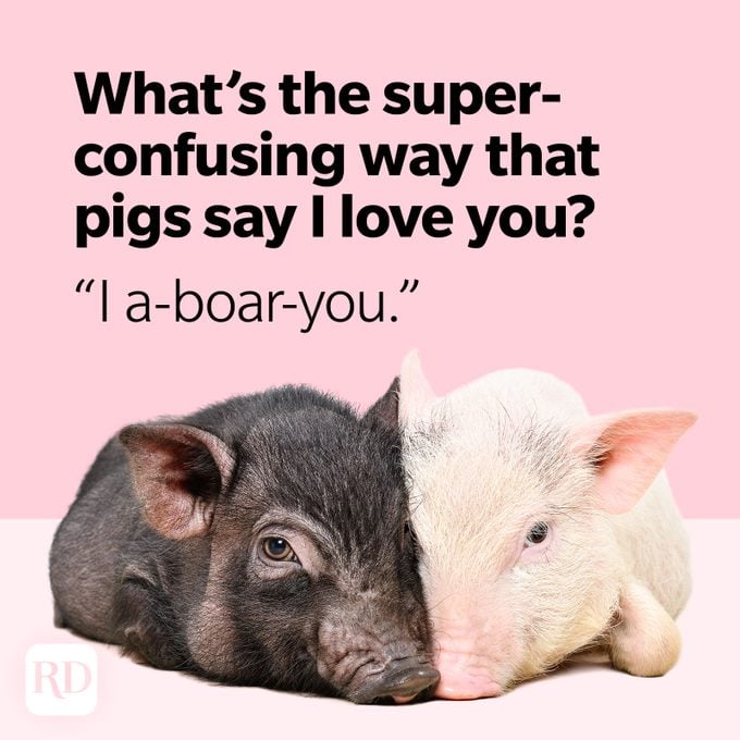 Pig Puns I A Boar You