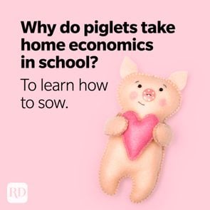 Pig Puns Learn How To Sow