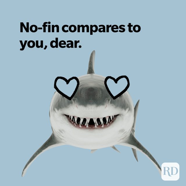 Shark with hearts for eyes