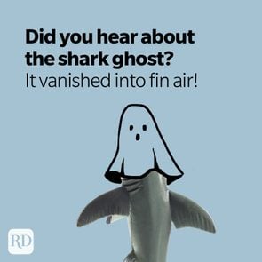 Shark wearing sheet on head to emulate ghost