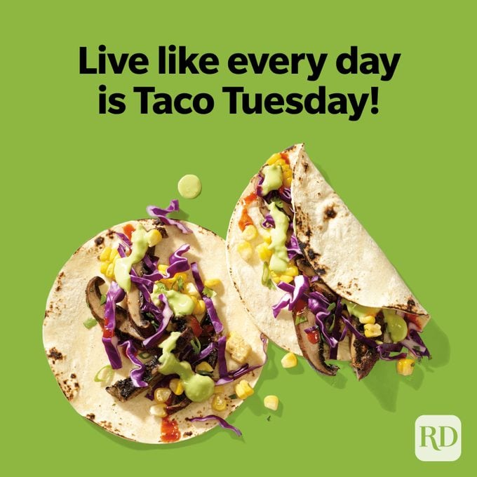 Taco Puns Live Like Every Day Is Taco Tuesday