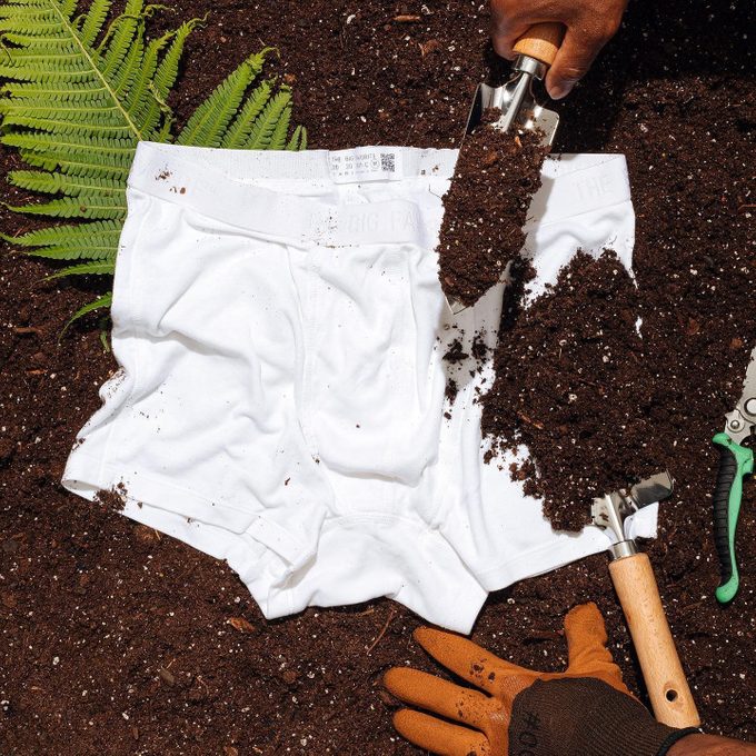 The Big Favorite Sustainable Underwear Via Instagram