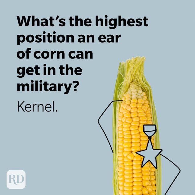 Corn cob wearing a military badge