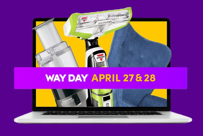 Wayfair Way Day Deals for 2022
