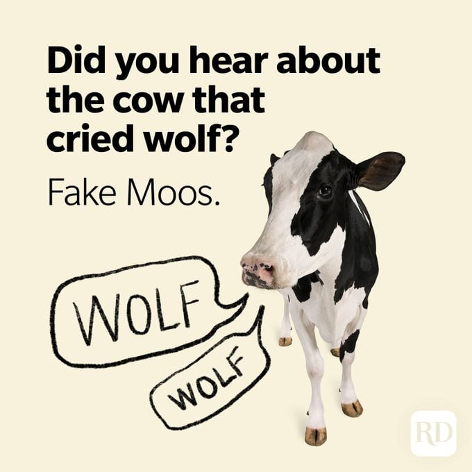 Wolf Puns Fake Moos