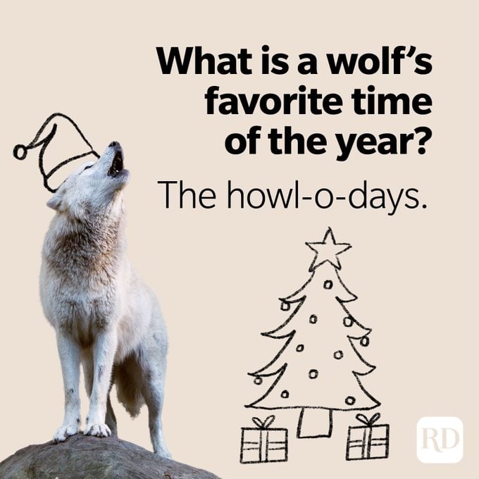 Wolf Puns Howl O Days