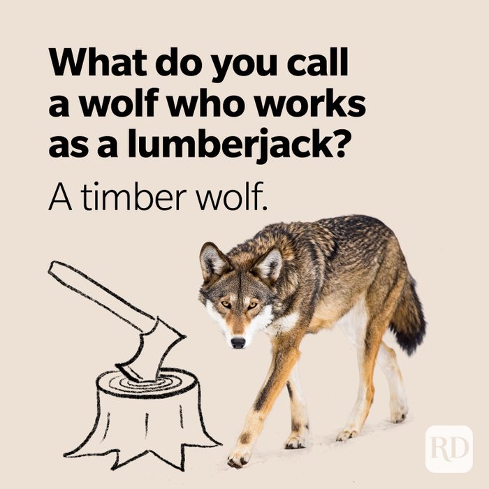 Wolf Puns Lumberjack Timber Wolf