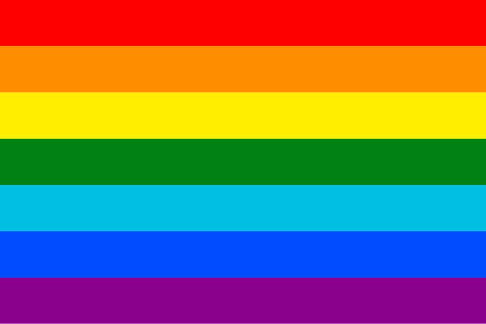 1978 Pride Flag