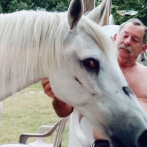 white horse being pet by a seated man