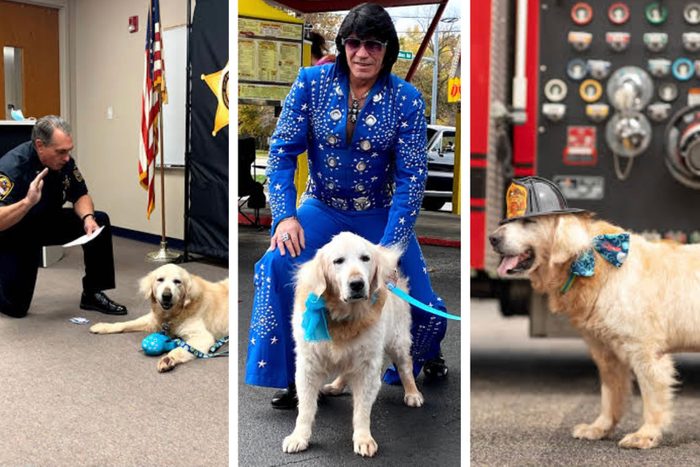 dog bucket list items: collage of dog being sworn in by police officer; dog meets elvis impersonator; dog wearing a firemans hat next to a firetruck