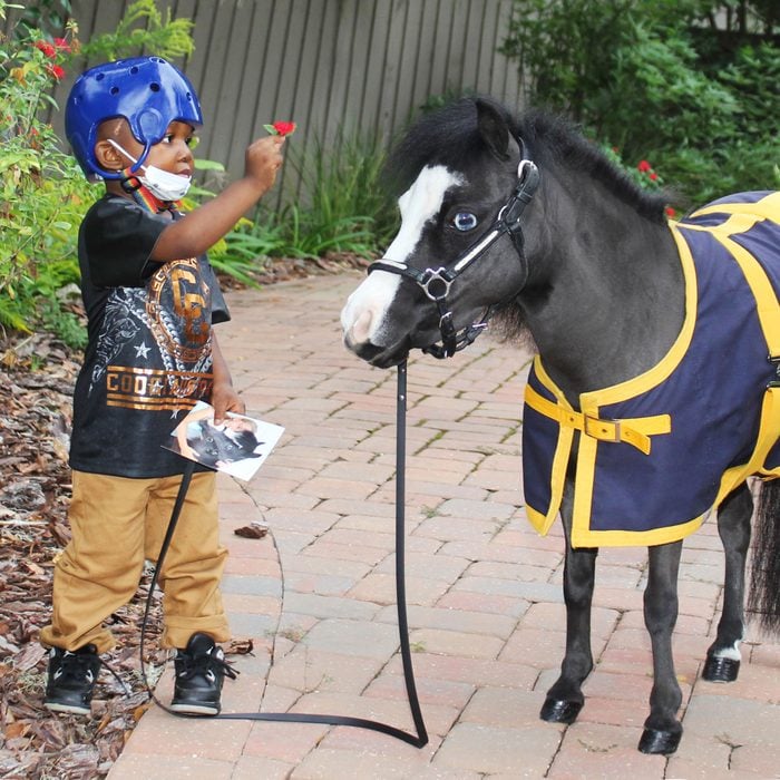 child standing and interacting with Magic, the therapy miniature horse