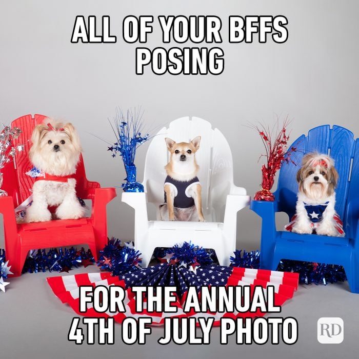 meme text: All Of Your Bffs Posing For The Annual 4th Of July Ph
