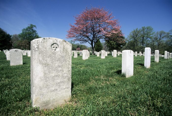 Arlington National Cemetery in Bloom
