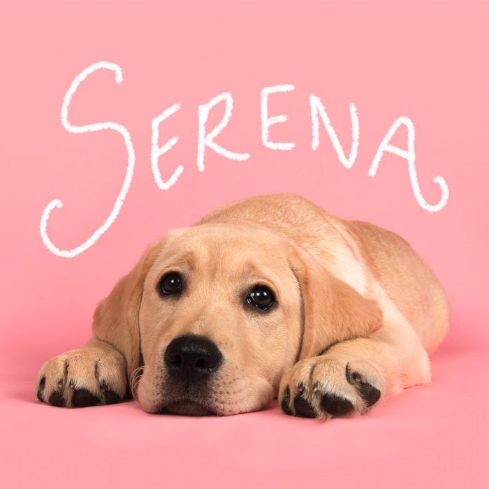 Pop culture inspired girl dog name hand-lettered over a photo of a dog on a pink background