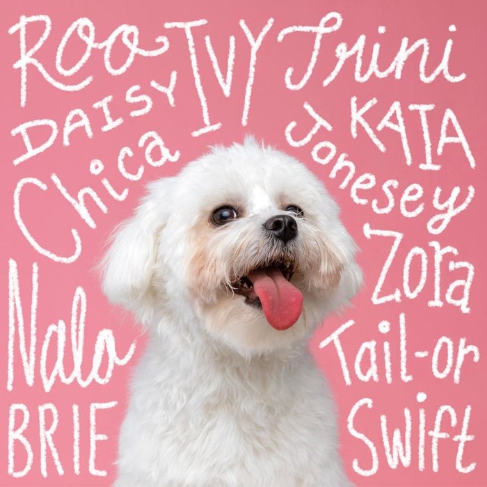 Girl dog names hand-lettered over a photo of a dog on a pink background