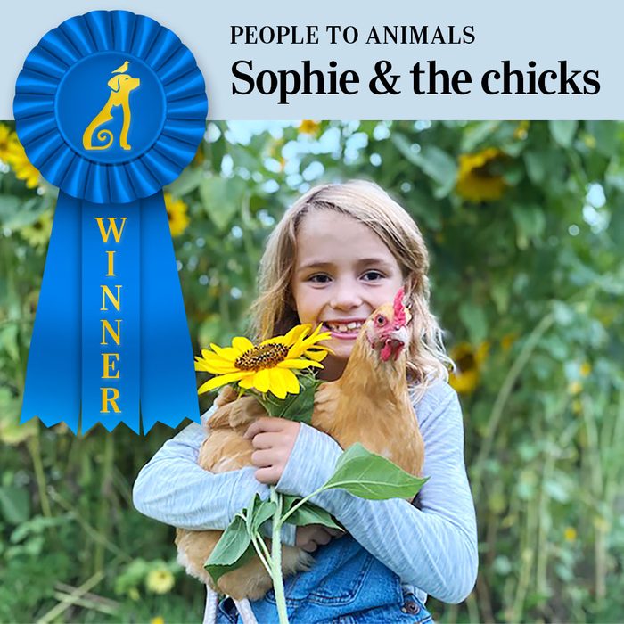 Pet Pals Winner, People to Animals category. Sophie holding one of the chickens and a sunflower with sunflower stalks in the background