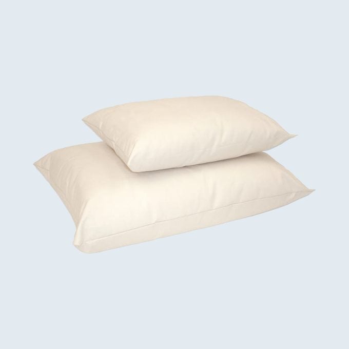 Naturepedic Organic Cotton Pillow