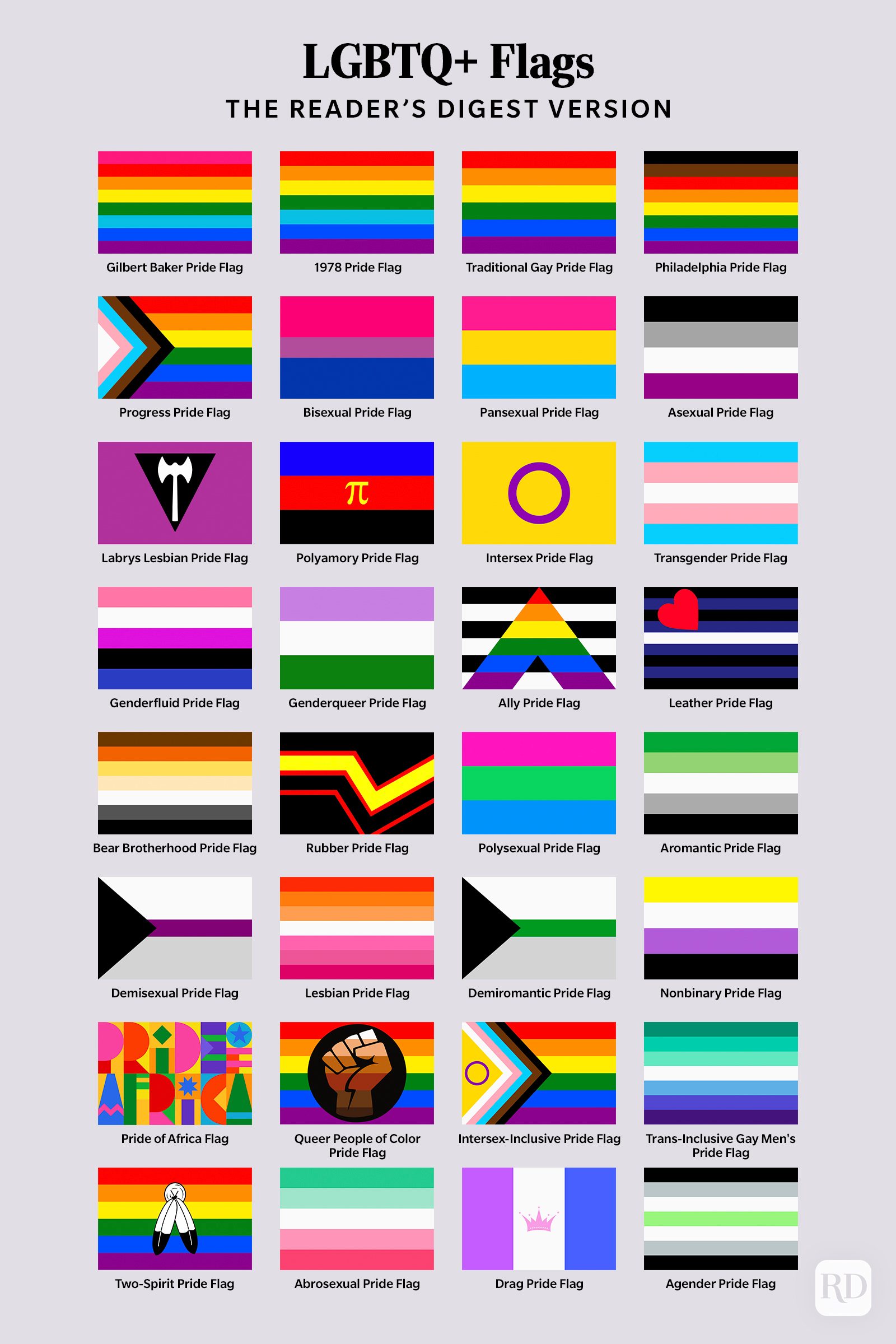 LGBTQ Pride Hand Flags LGBT Rainbow Gay Trans Queer Bi Bear Progress Asexual 