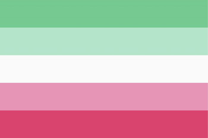Abrosexual Pride Flag