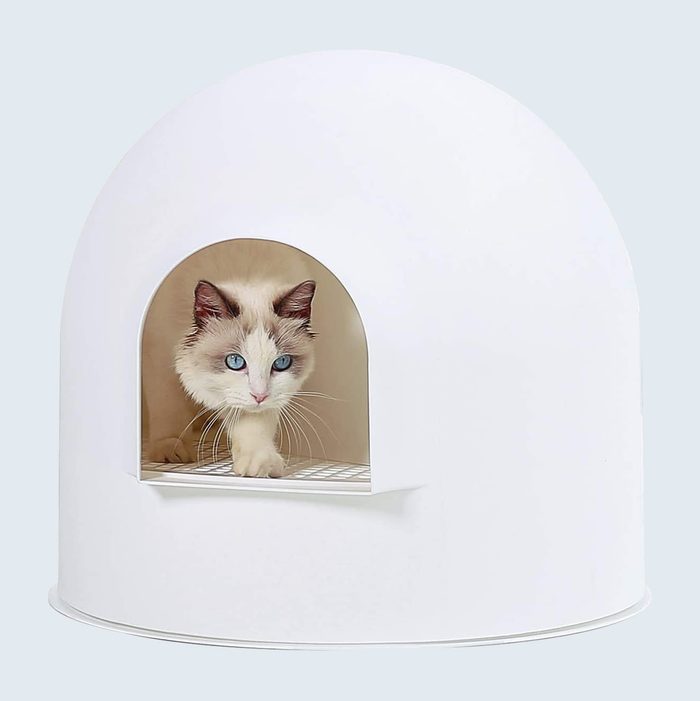 Secret Igloo Cat Litter Box Enclosure