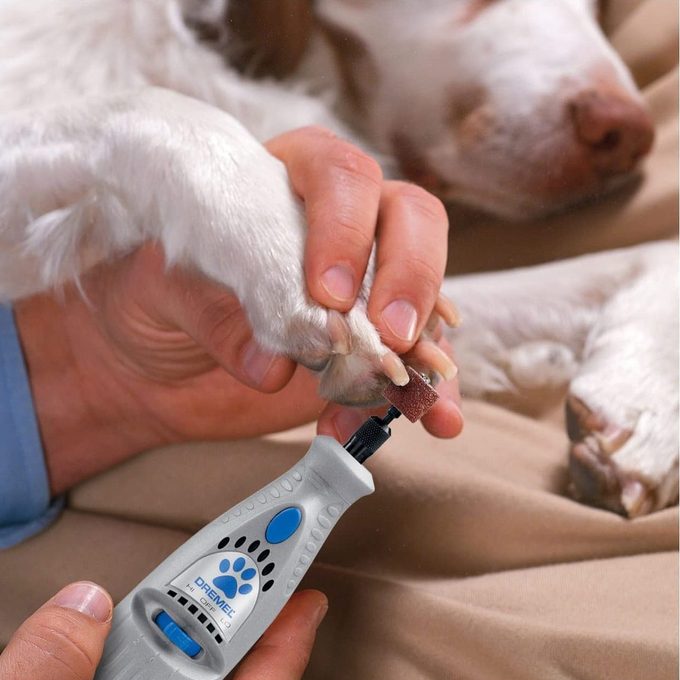 Dremel 7300-PT 4.8V Cordless Pet Dog Nail Grooming & Grinding Tool