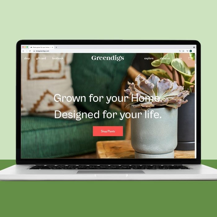 Green digs online house plants