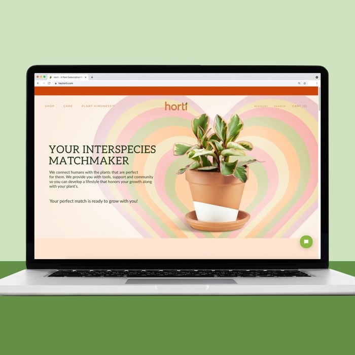 Horti, a website to buy house plants