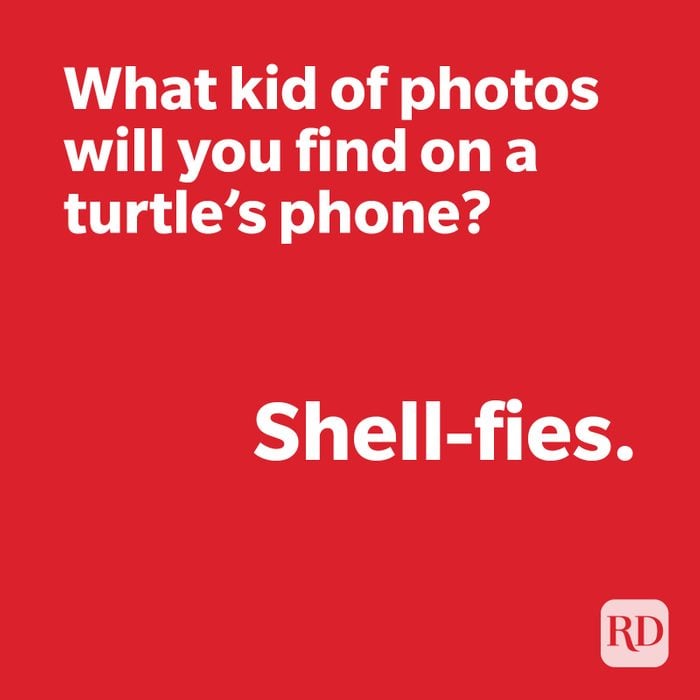 Turtle joke