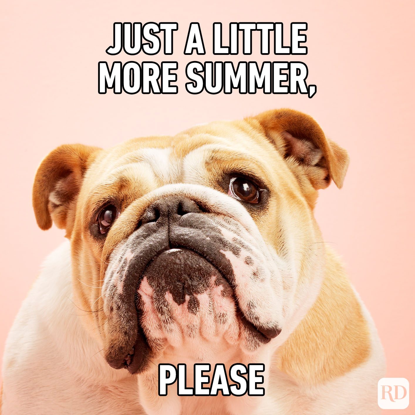 Meme text: Just a little more summer, please