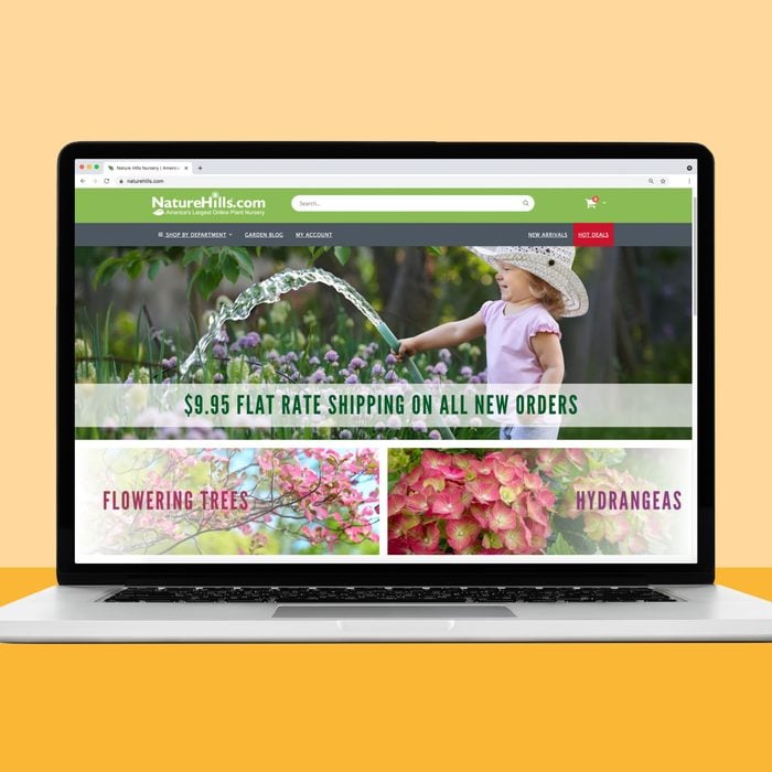 Nature Hills Nursery online flower shop