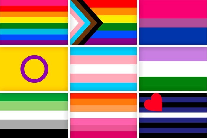 24 LGBTQ Flags and What They Mean | Pride Month Flags ...