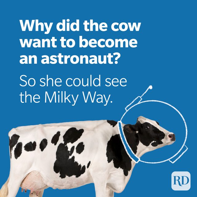 Space Puns Cow Astronaut