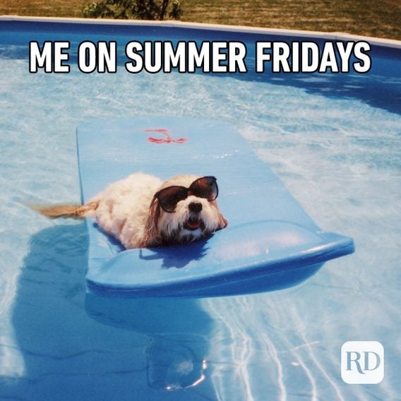 25 Funny Summer Memes We Can All Relate To Readers Digest
