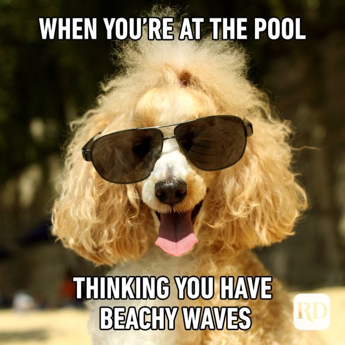 Meme text: When you’re at the pool thinking you have beachy waves