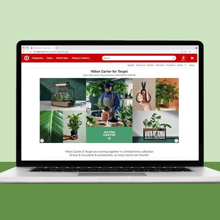 Target house plants online