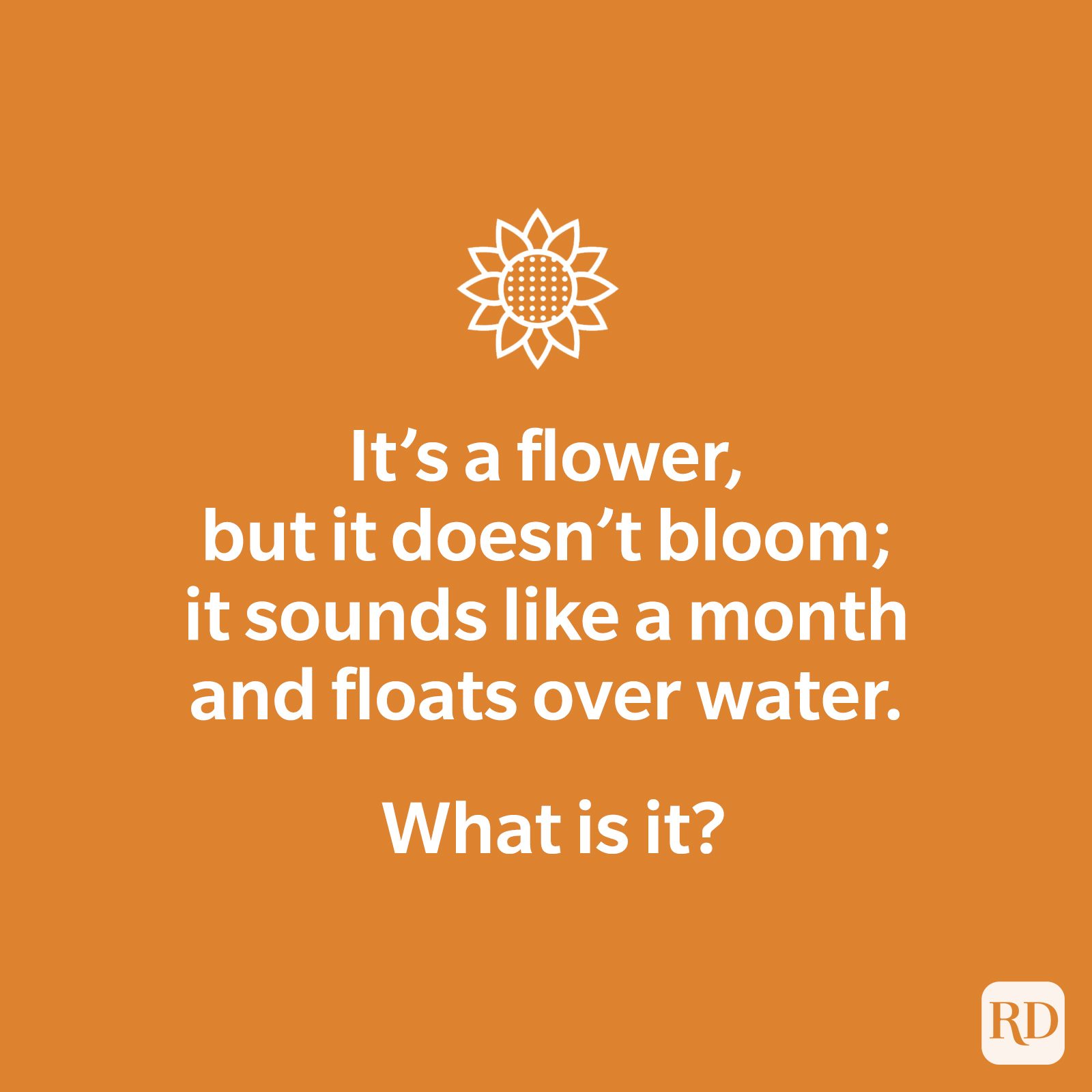 It's a flower, but it doesn't bloom; it sounds like a month and float over water. What is it?