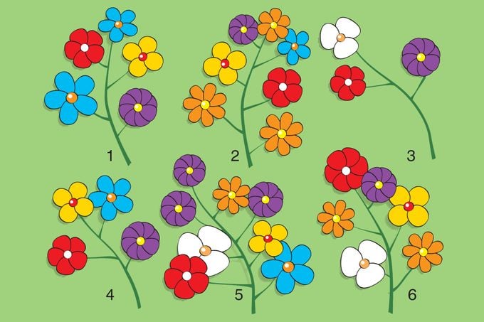 Illustration of six numbered flower branches
